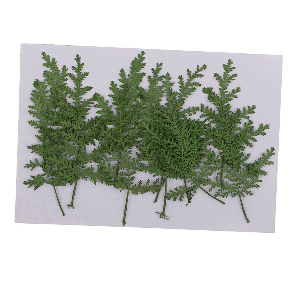 12pcs real dried leaves wormwood embellishment for DIY phone