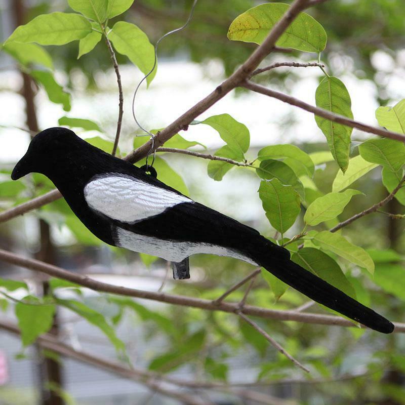 Magpie Bird Painted Decoy Shell Outdoors Shot Hunting Shooting Lures Bait Tool
