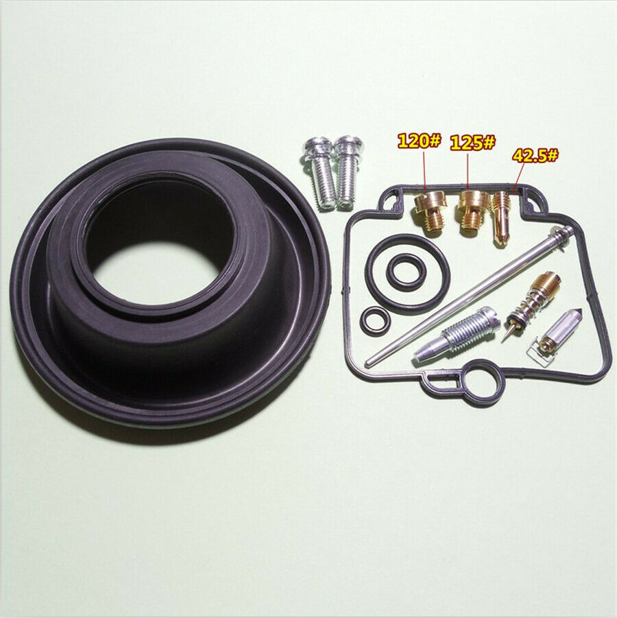 Carburetor Repair kit with Vacuum Diaphragm For DR350 Goose350 & Mikuni BST40