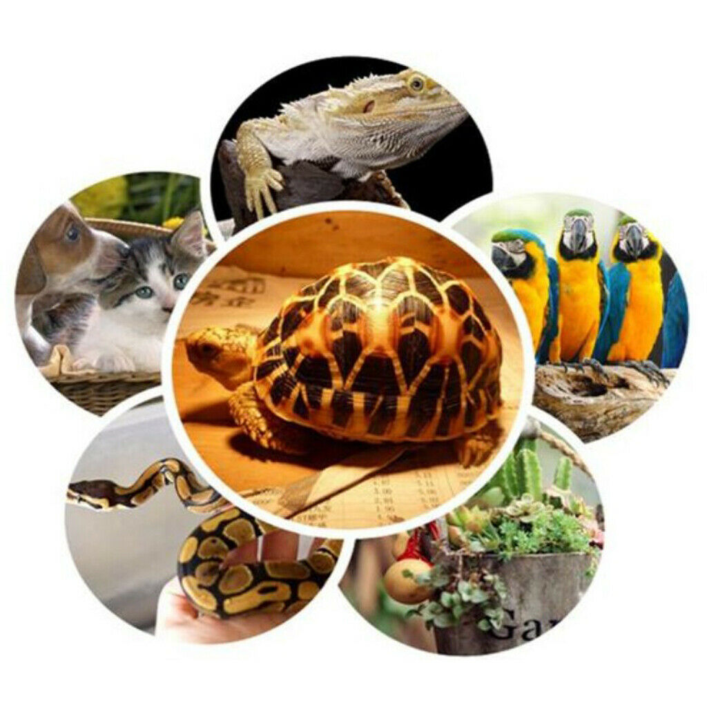 Pet Reptile Lizard Turtle Frog Heat Calcium Lamp Blub White 50W 220-230V