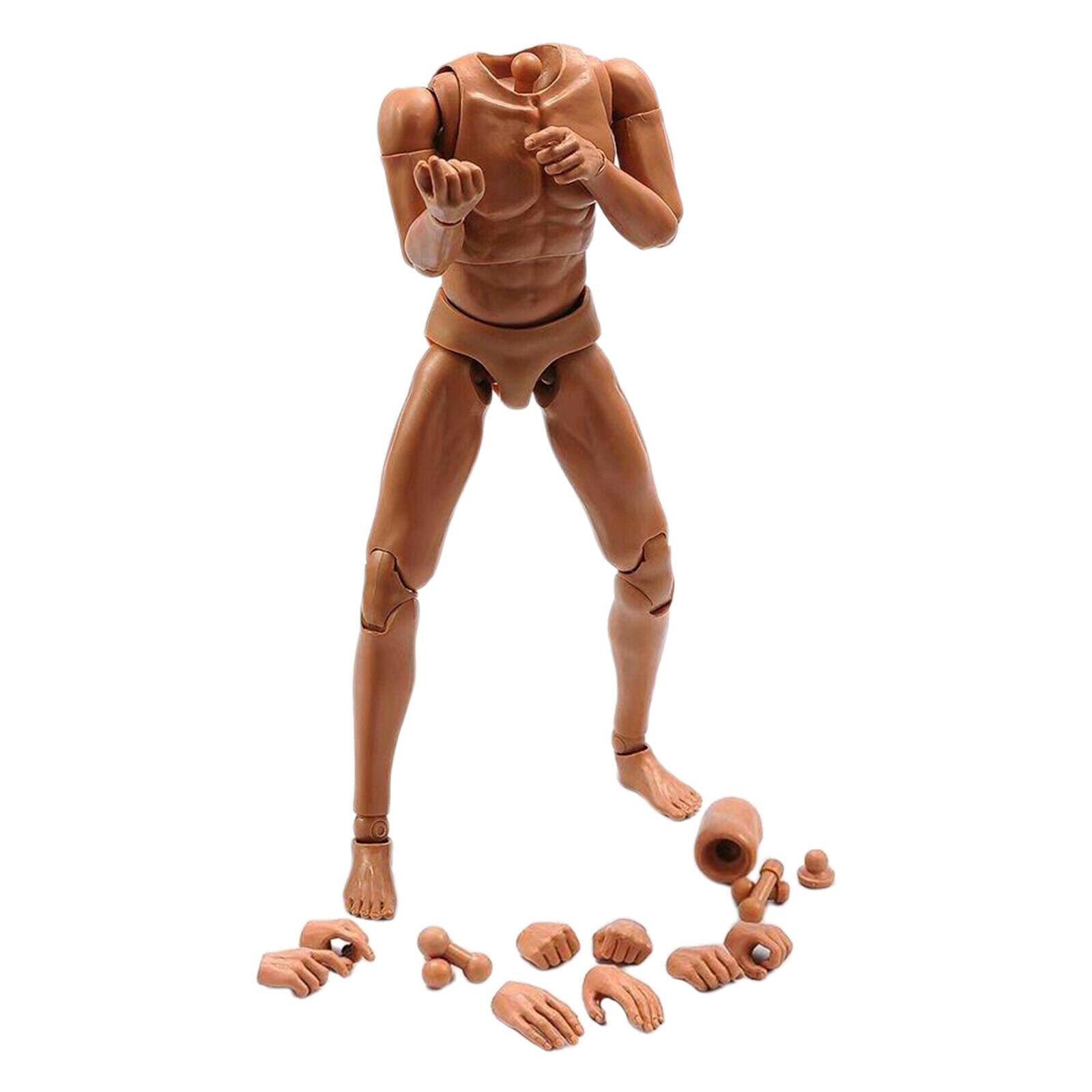1/6 Male Narrow Shoulder Body Figures Male Muscle Body Toys for HT DAM