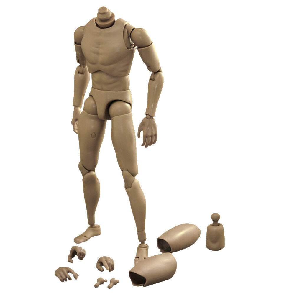 1:6 Action Man Male Semaless Rude Body Carving Skeleton Hobbyists