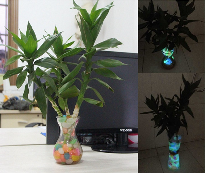 100PCS Glow in the Dark Luminous Pebbles Stones Fish Tank Aquarium Party Event