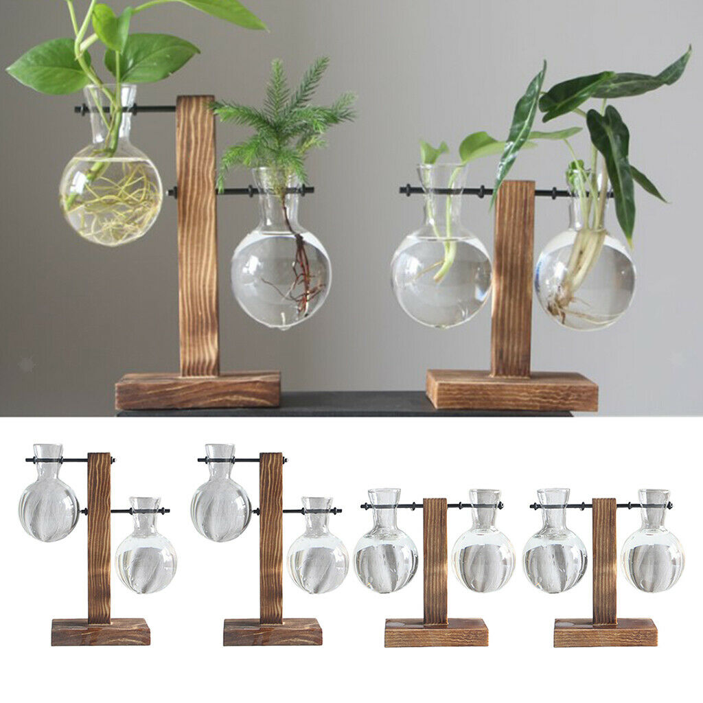 4Pack Rustic Glass Bulb Vase Holder w/ Wood Stand for Hydroponics Plants