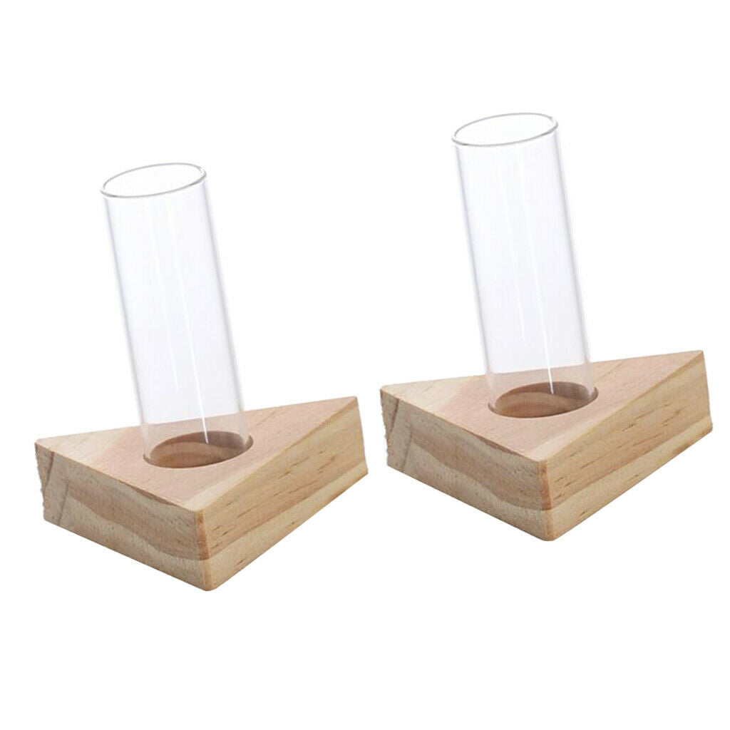 2pcs Glass Test Tube Vase In Wooden Stand For Hydroponic Plants DIY Planting