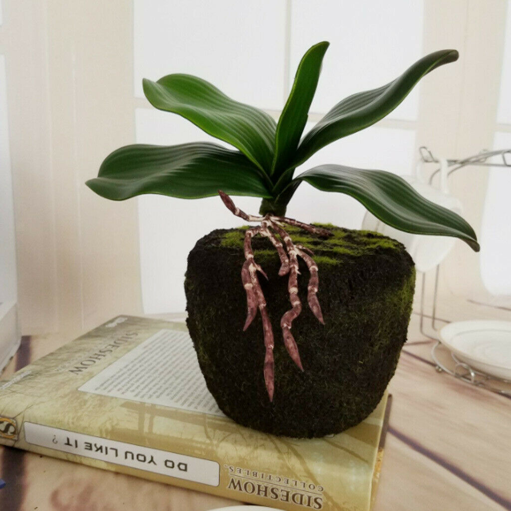 Artificial Leaf Stand Potted Green Orchid Leaves Artificial Flowers Decor c