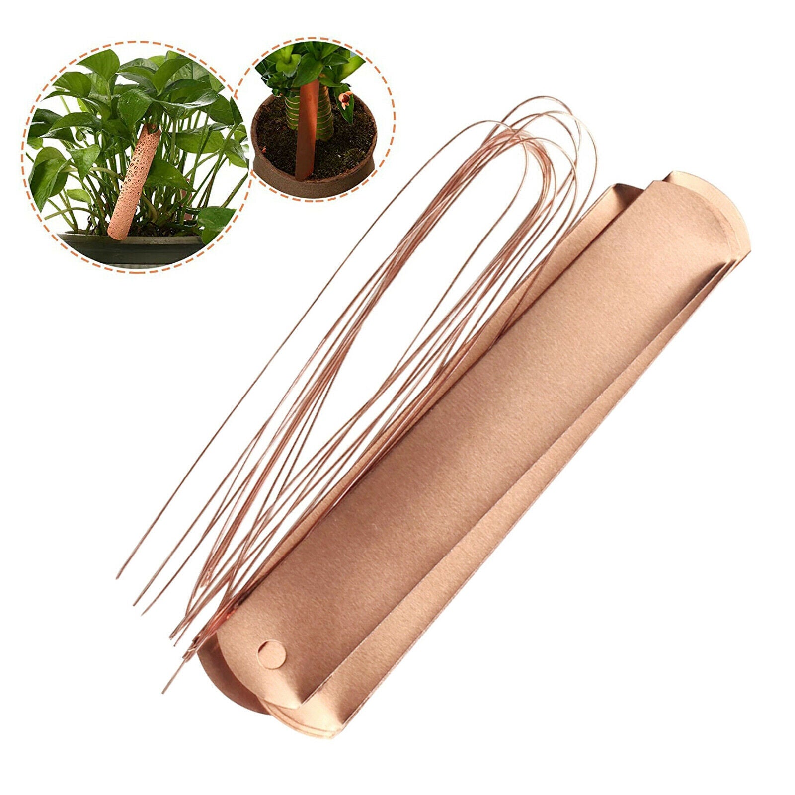20pcs Copper Plate Metal Plant Labels Garden Tags Planting Gardening Marker