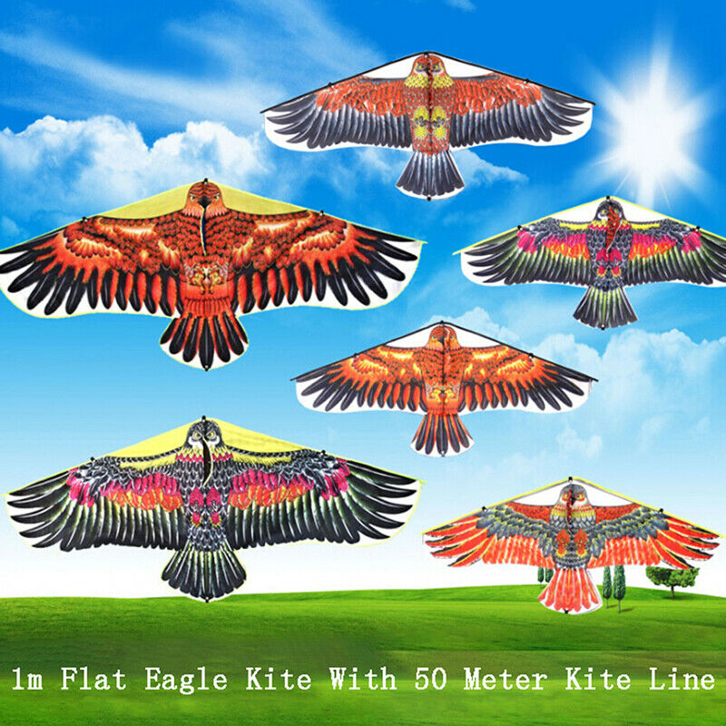1Pc 1M Flat Eagle Kite With 50M Kite Line Children Flying Bird Kites Outdoor  Lt