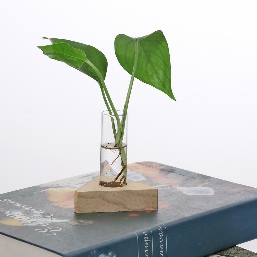 Test Tube Planter Flower Bud Vase Tabletop Glass Pot for Hydroponics Plants