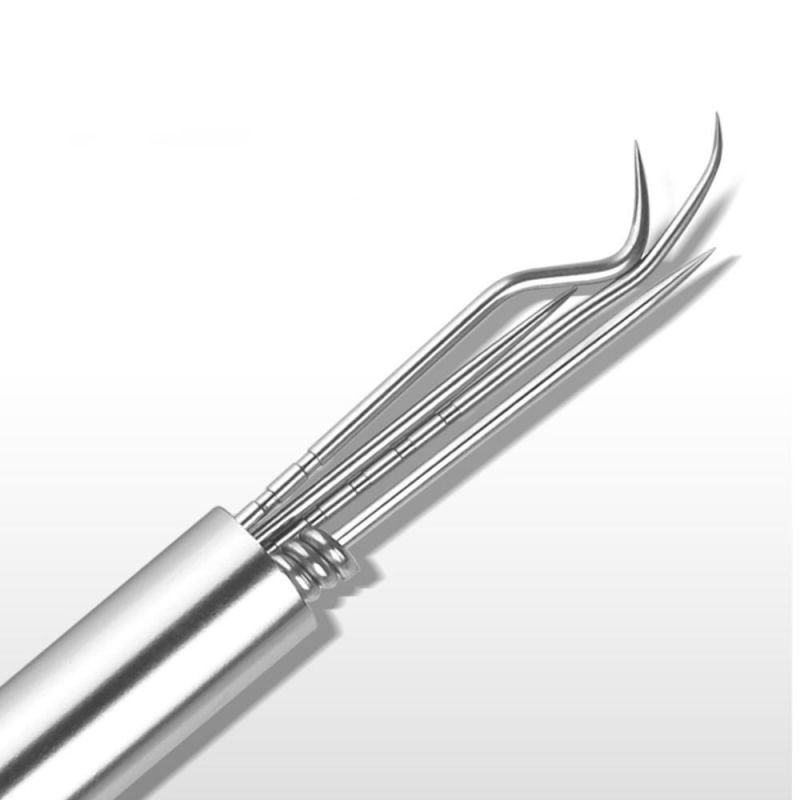 5pcs Stainlesss Steel Portable Toothpick  Care + Toothpick Holder Tool Set
