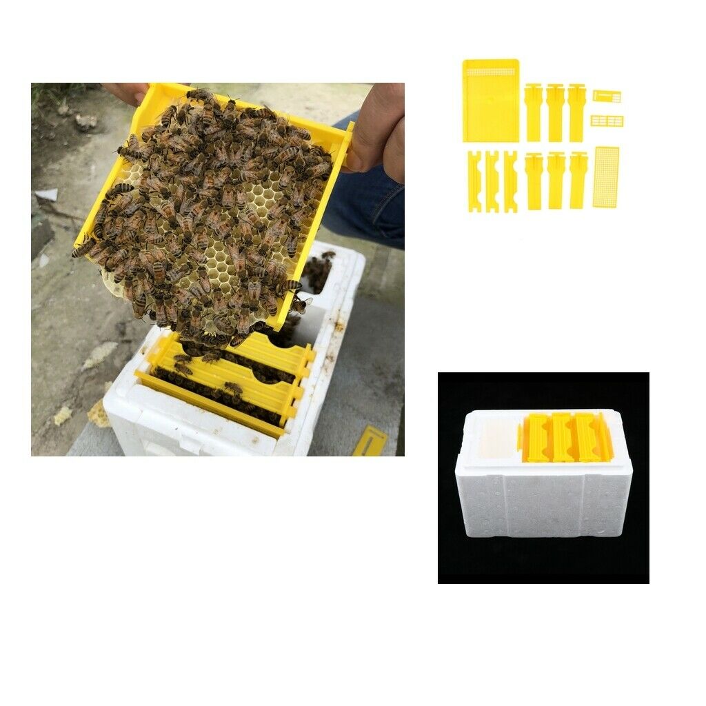 Bee Honey Bucket Rack Frame Grip Holder Queen Bee Rearing Harvest Tool