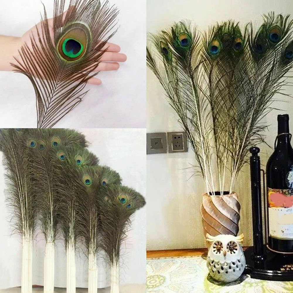 10pcs Peacock Feathers Tail Natural 10-12inch Long For Bouquet DIY Decorations