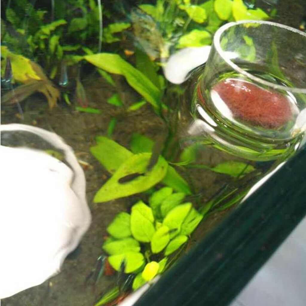 Round Shape  Feeding Ring Aquarium  Tank Food Feeder with Suction L
