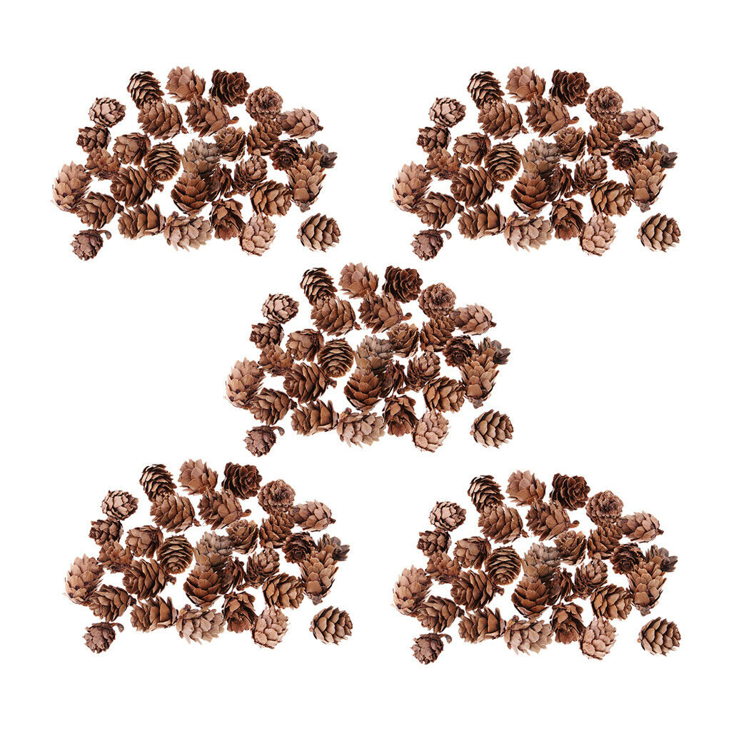 150x Decorative Pinecone Pine Cones Vase Bowl Filler Displays Crafts
