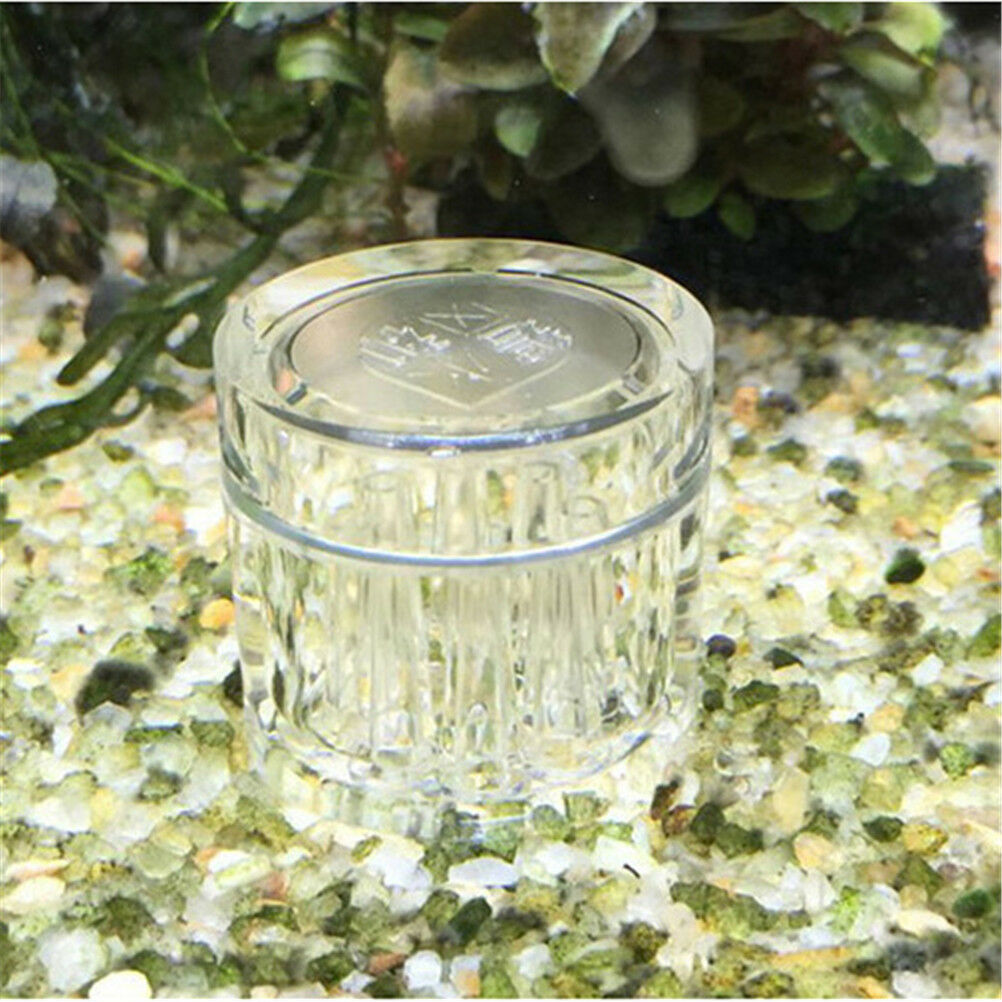 8Hole snail trap free bait for aquarium fish plant tank Planarian leech Ca.l8