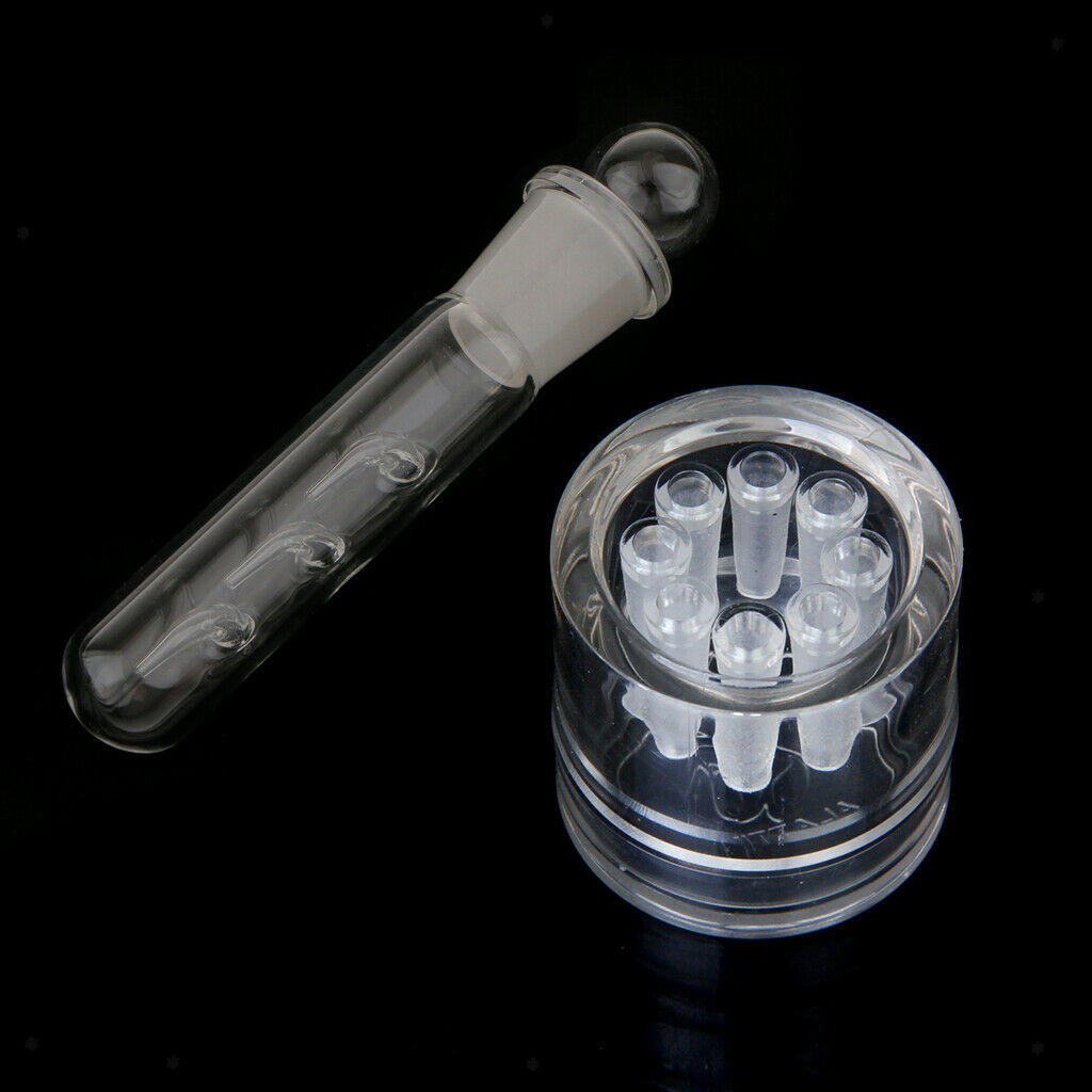 Crystal Glass Planaria Trap Worm Catching Pen Shrimp Leech Catcher 3 & 8