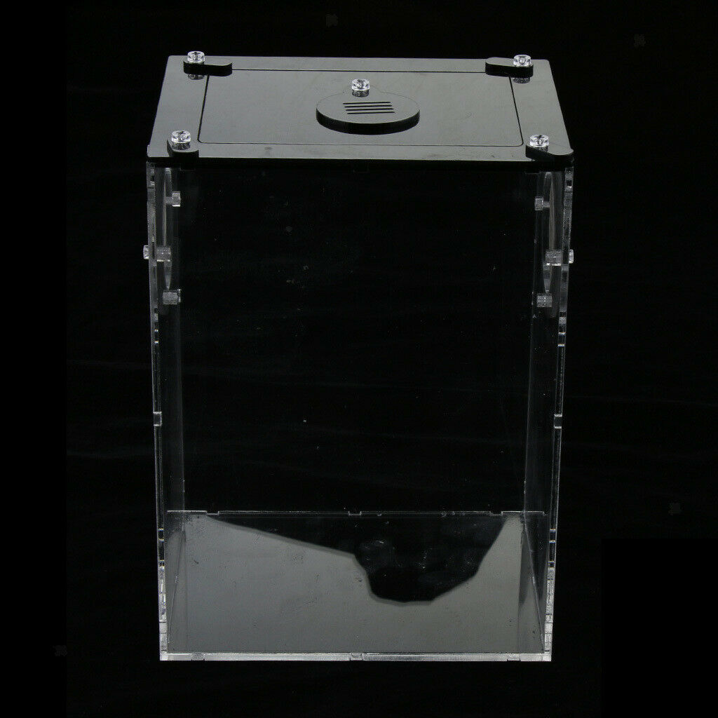Acrylic Reptile Terrariums Plant Feeding Tank Lizard Breeding Box Reptiles