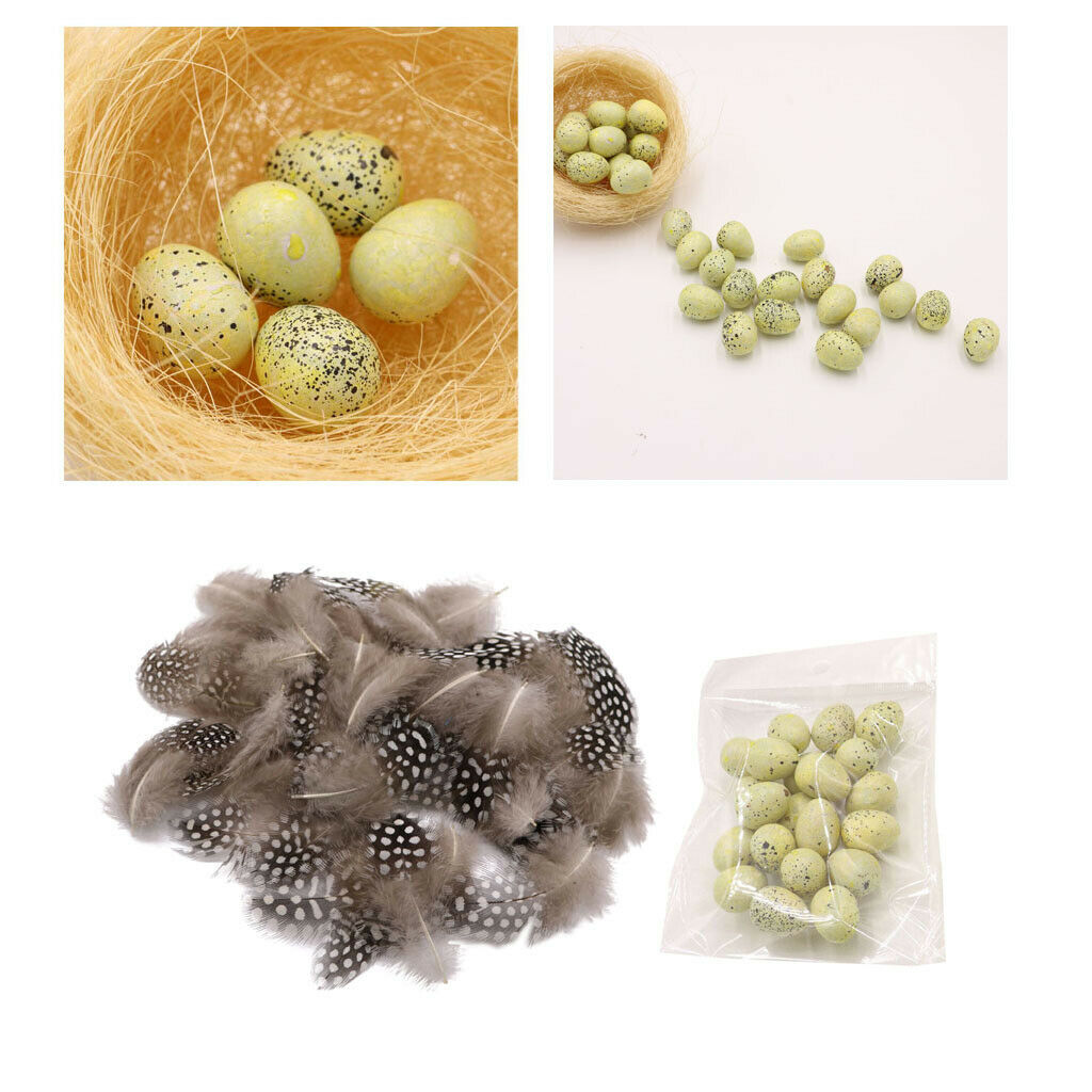 Pheasant Rooster Feathers Bird Eggs Crafts Wedding for Accessories Ornament