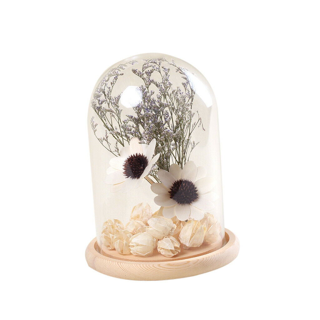 Glass Cover Landscape Vase Pot Terrarium Plant Flowers Decoration #4 12x18