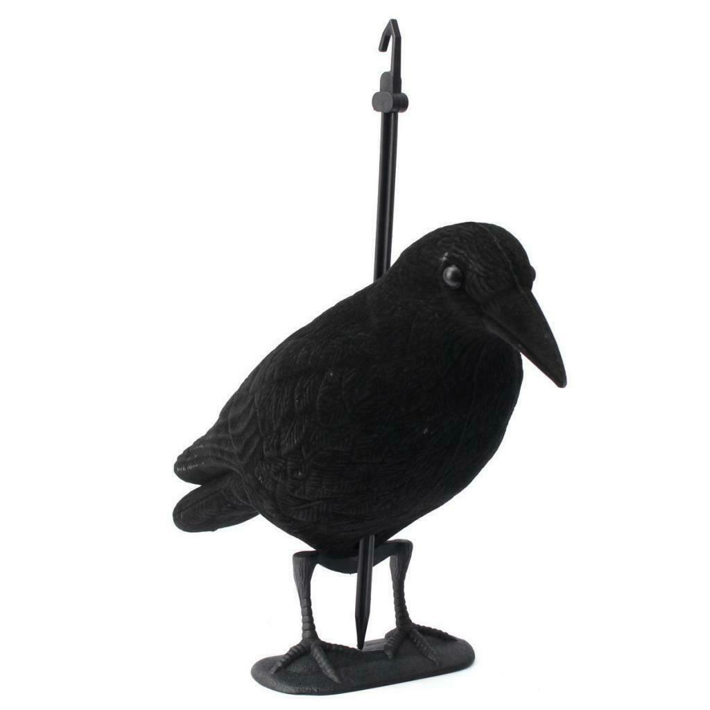 Crows Shooting, Rocket Trap, Realistic Size Black Flocked Crow Jet Trap