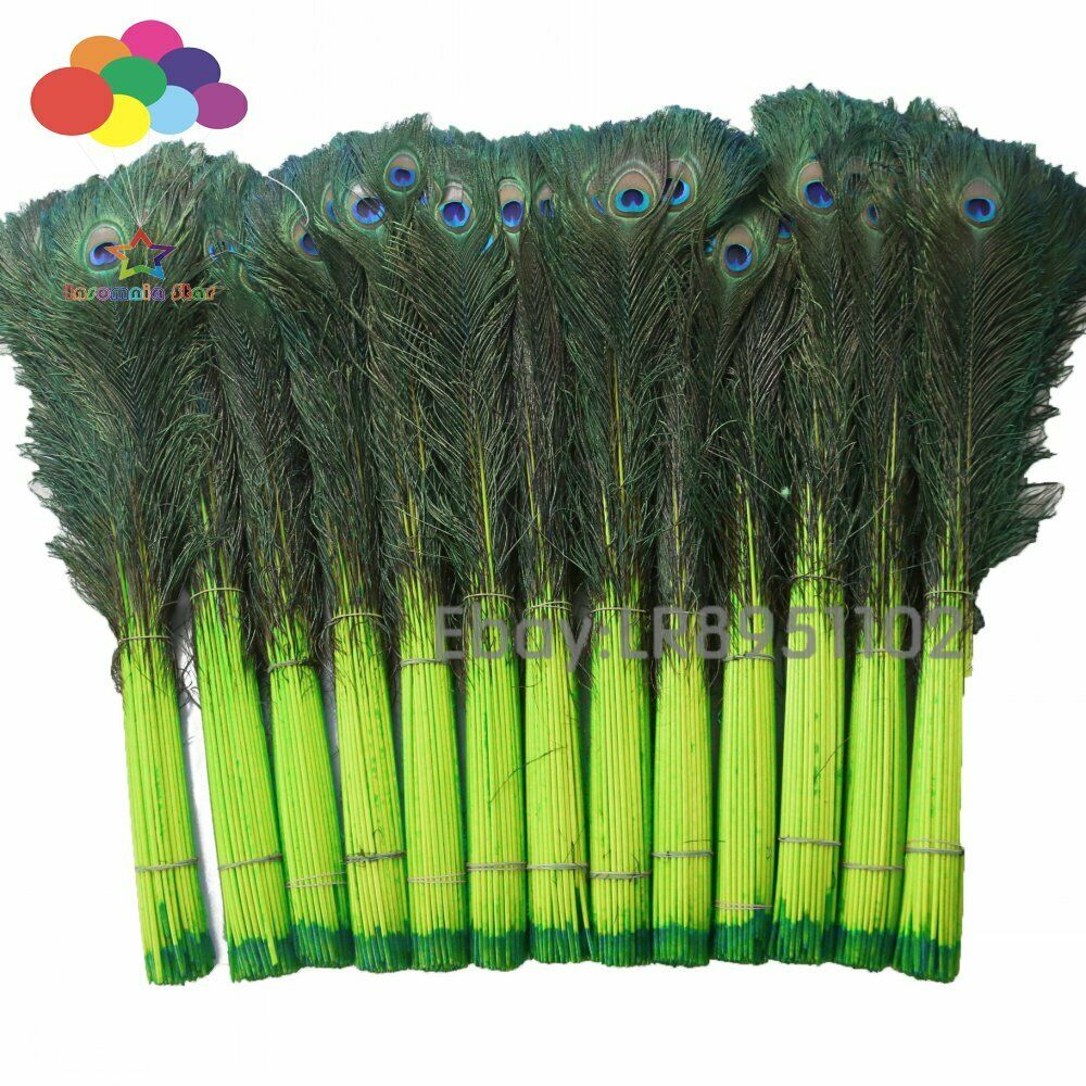 Fruit green 100 PCS Peacock Feather 70-80 cm Clothing Decoration Plumage Fashion