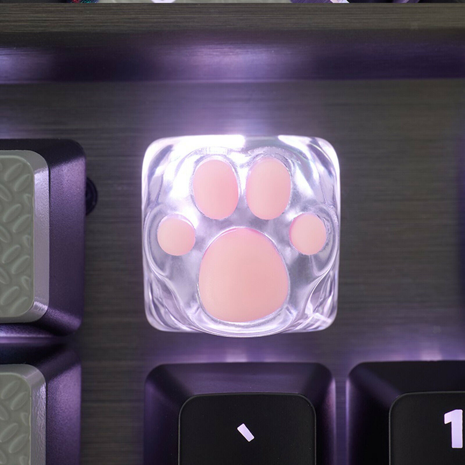 Transparent Gaming Key  Cat Paw Keys Machinery Keyboard keys Base