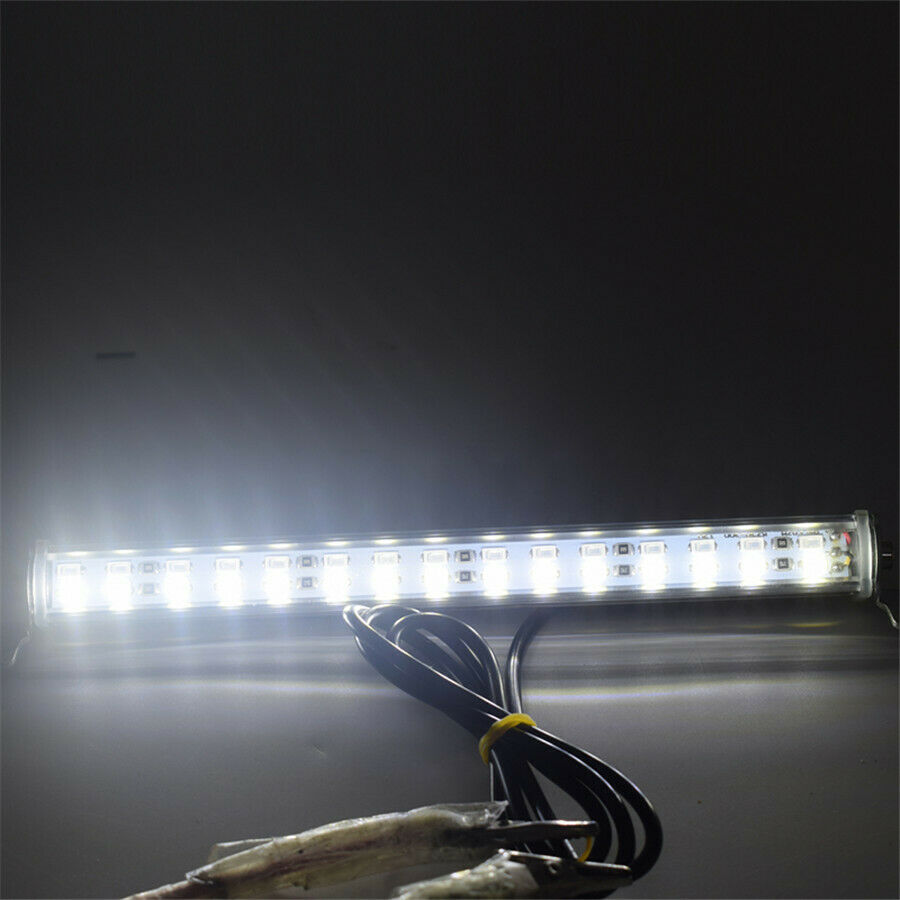 RED + WHITE 12V LED Lamps for Car License Plate Lights Backup Reverse Light