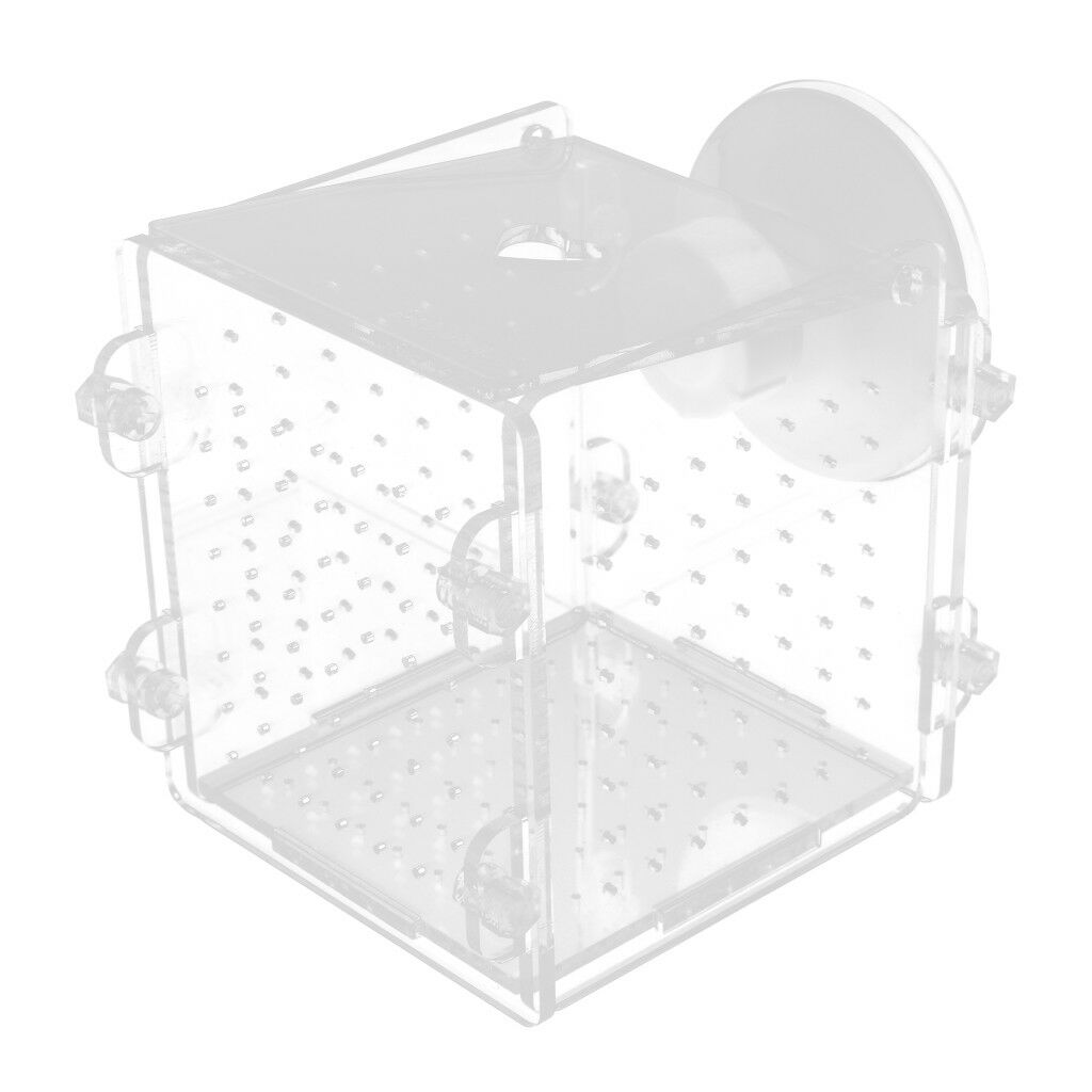 Acrylic Clear Aquarium Guppy Baby Small   Separator Fishes Breeding Box