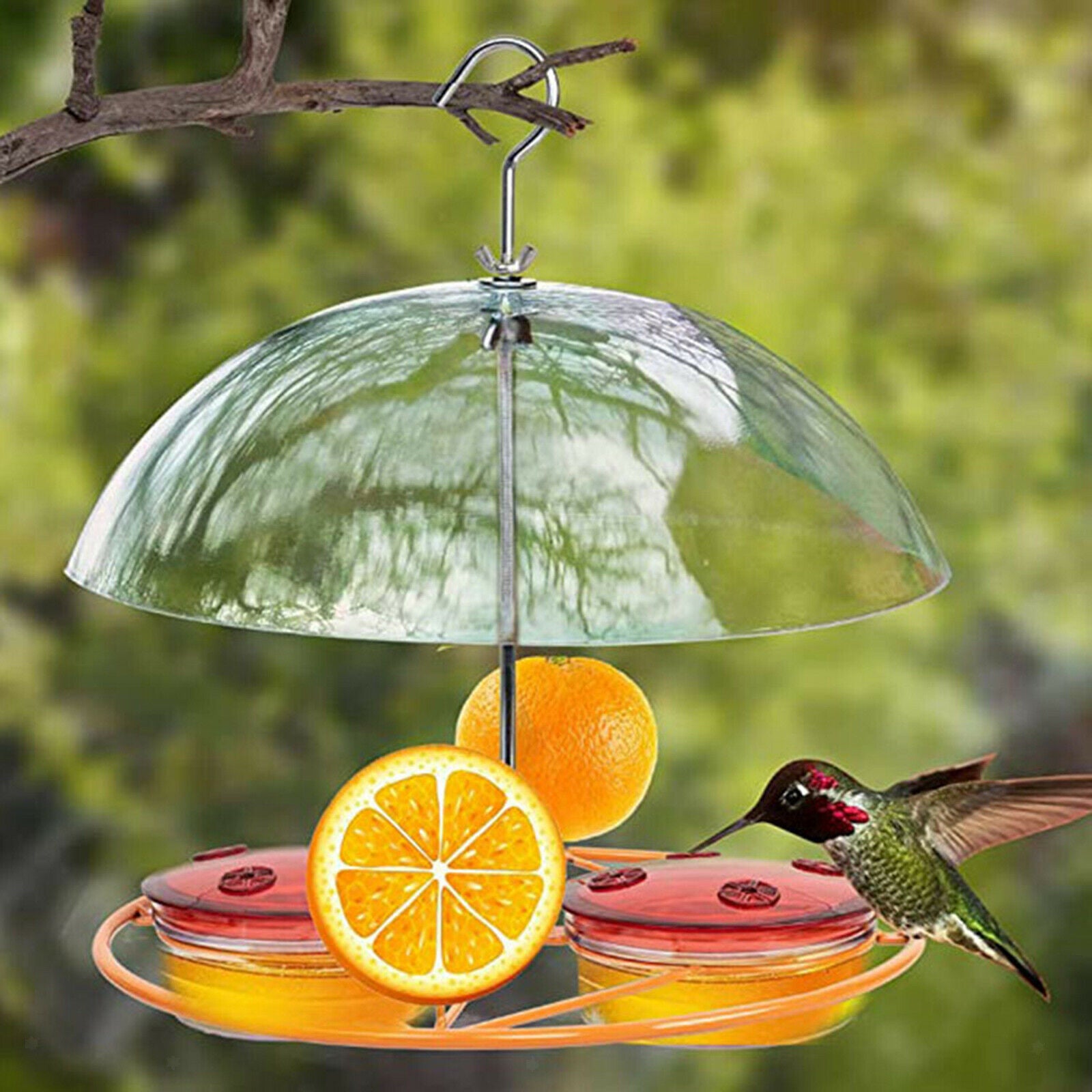 Bird Feeder w/ Clear Roof Squirrel Proof Garden Hanging Garden Patio Decor