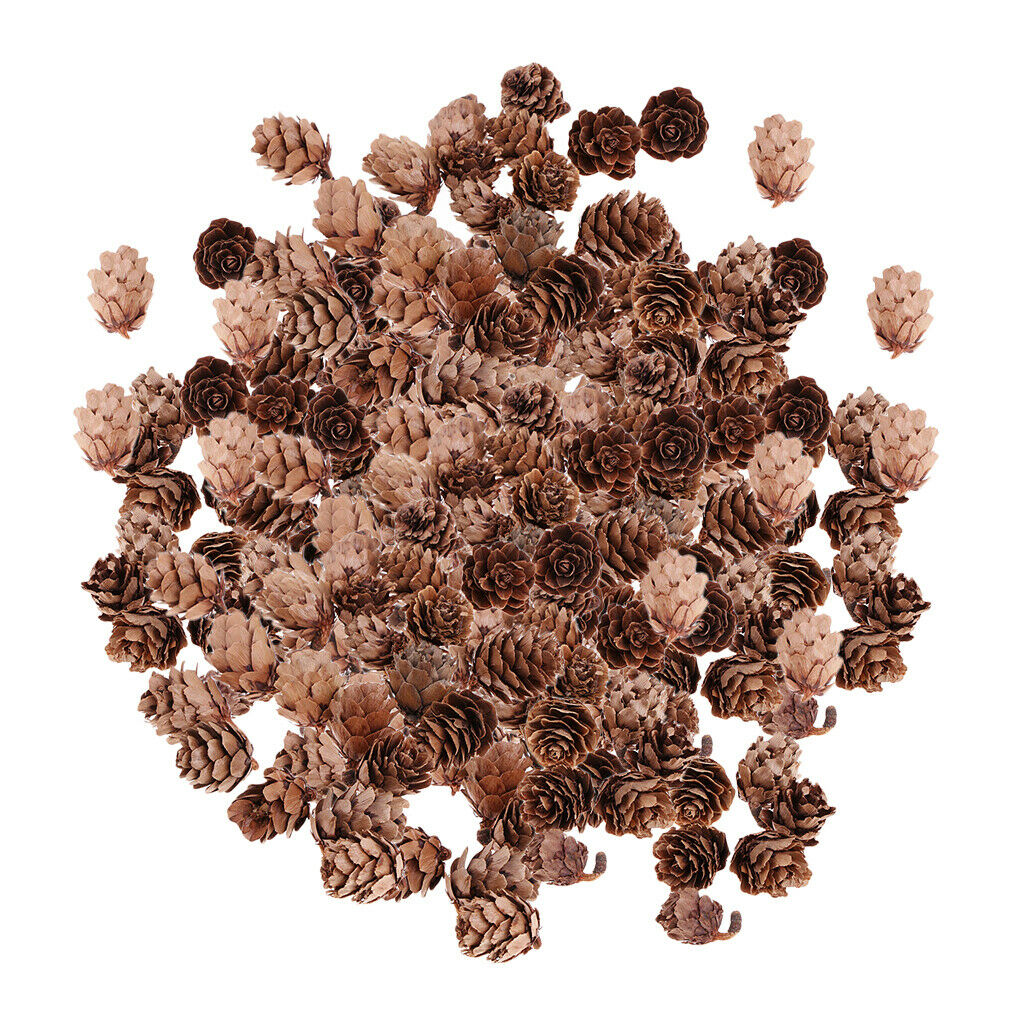 300 Pieces  Natural Pine Cones Christmas Natural Pine Cones Ornaments for