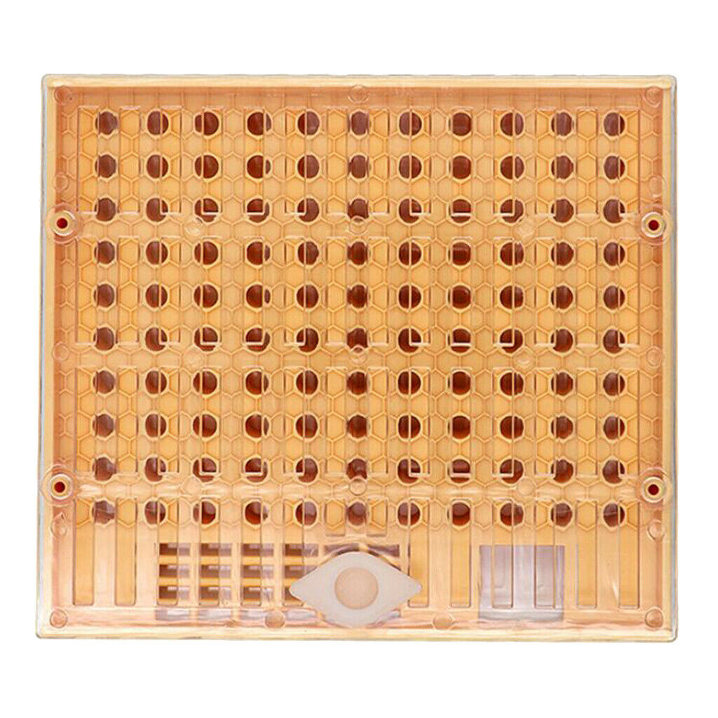 Beekeeping Bee Keeper Tools Breeding Queen Bee Cupkit Box System Beekeeping