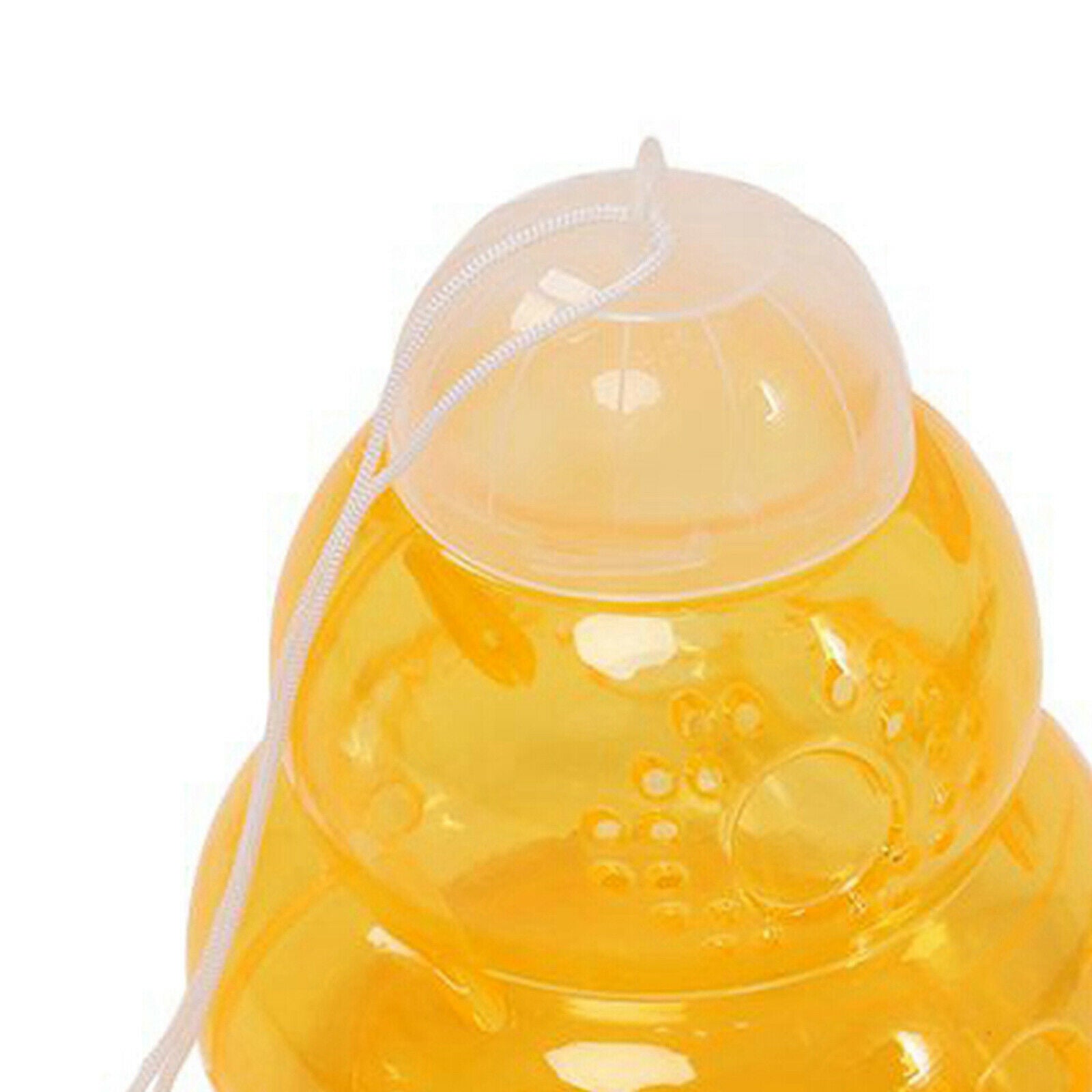 6pcs Beehive Wasp Trap Yellow Jackets Repellent Trap Traps for Home Garden