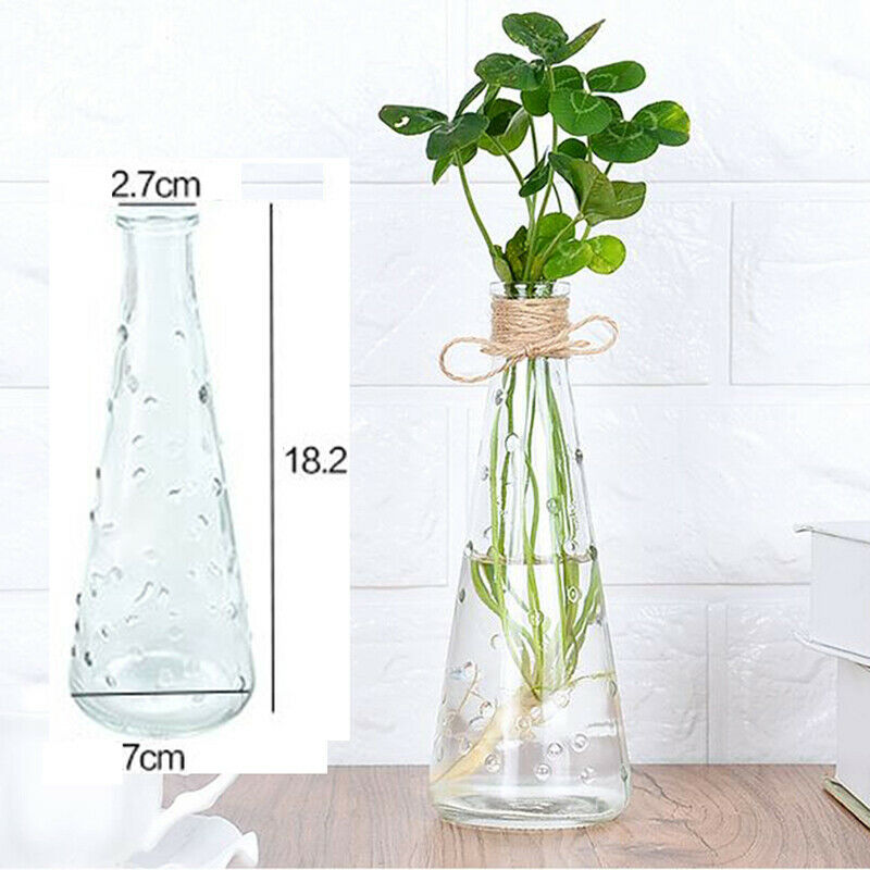 Raindrop Conical Glass Vase Decorate Home Nordic Dried Flower Hydroponic Bottle
