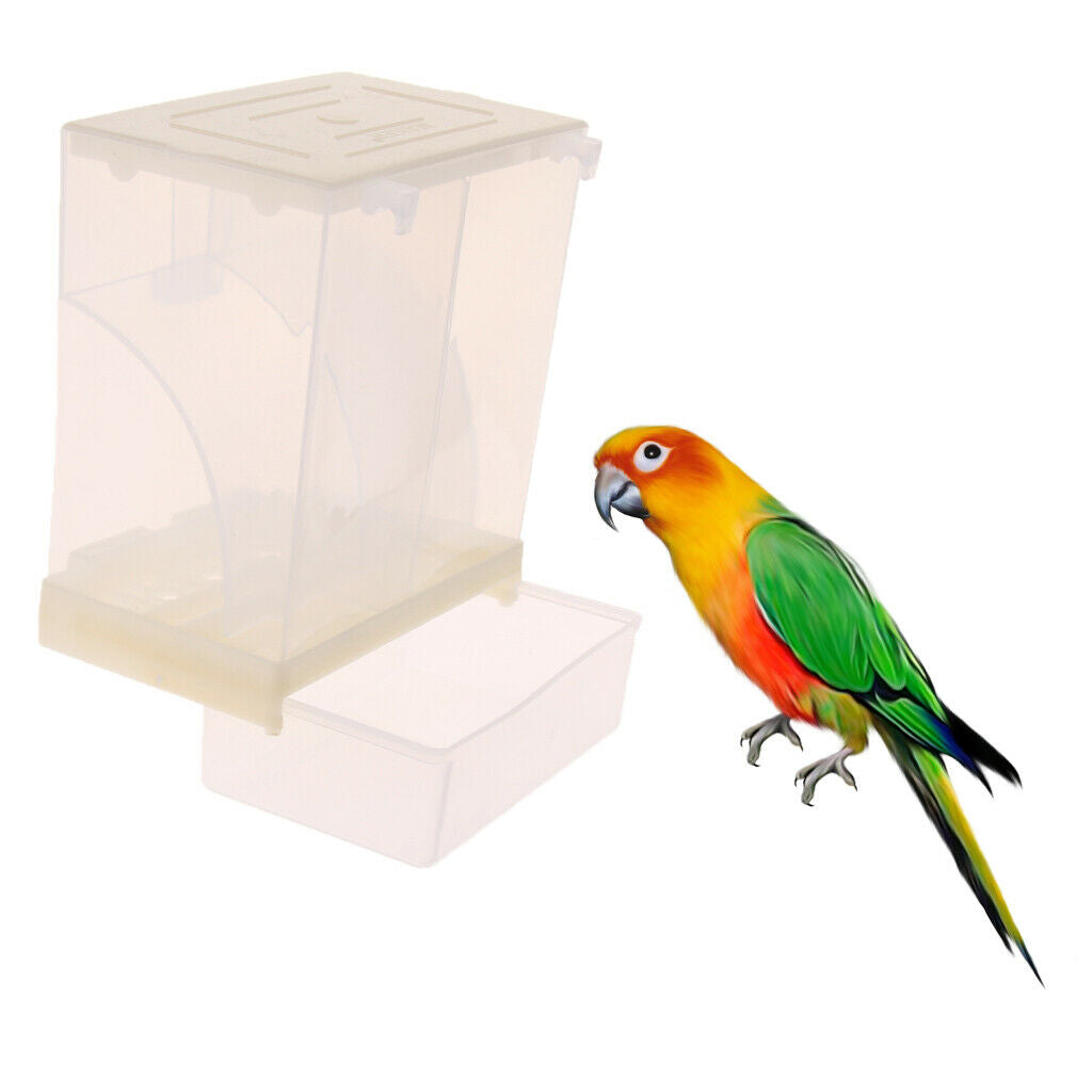 Automatic Poultry Feeder for Bird, Plastic Food Container for Parrot Pigeon