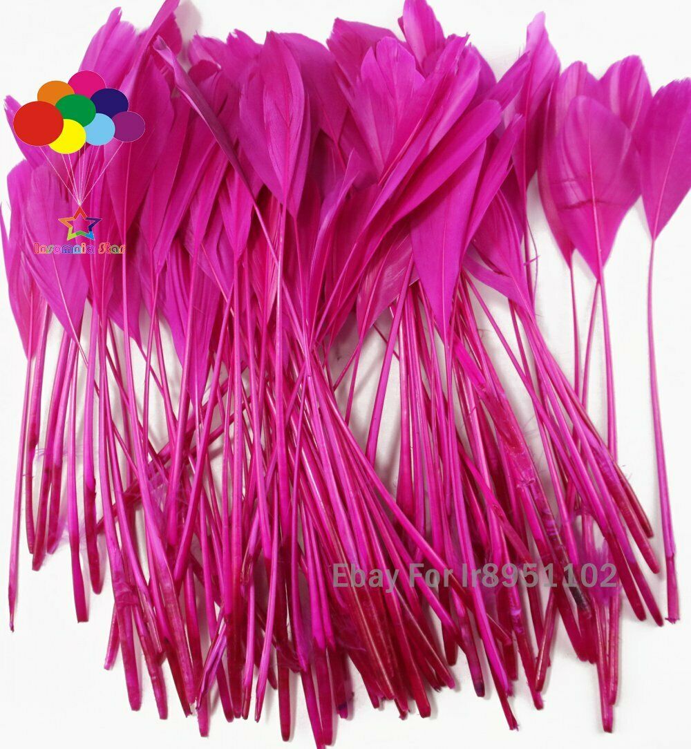 Rose red Coque Stripped Millinery Clothing Ribbons Rooster Tail Feather Party
