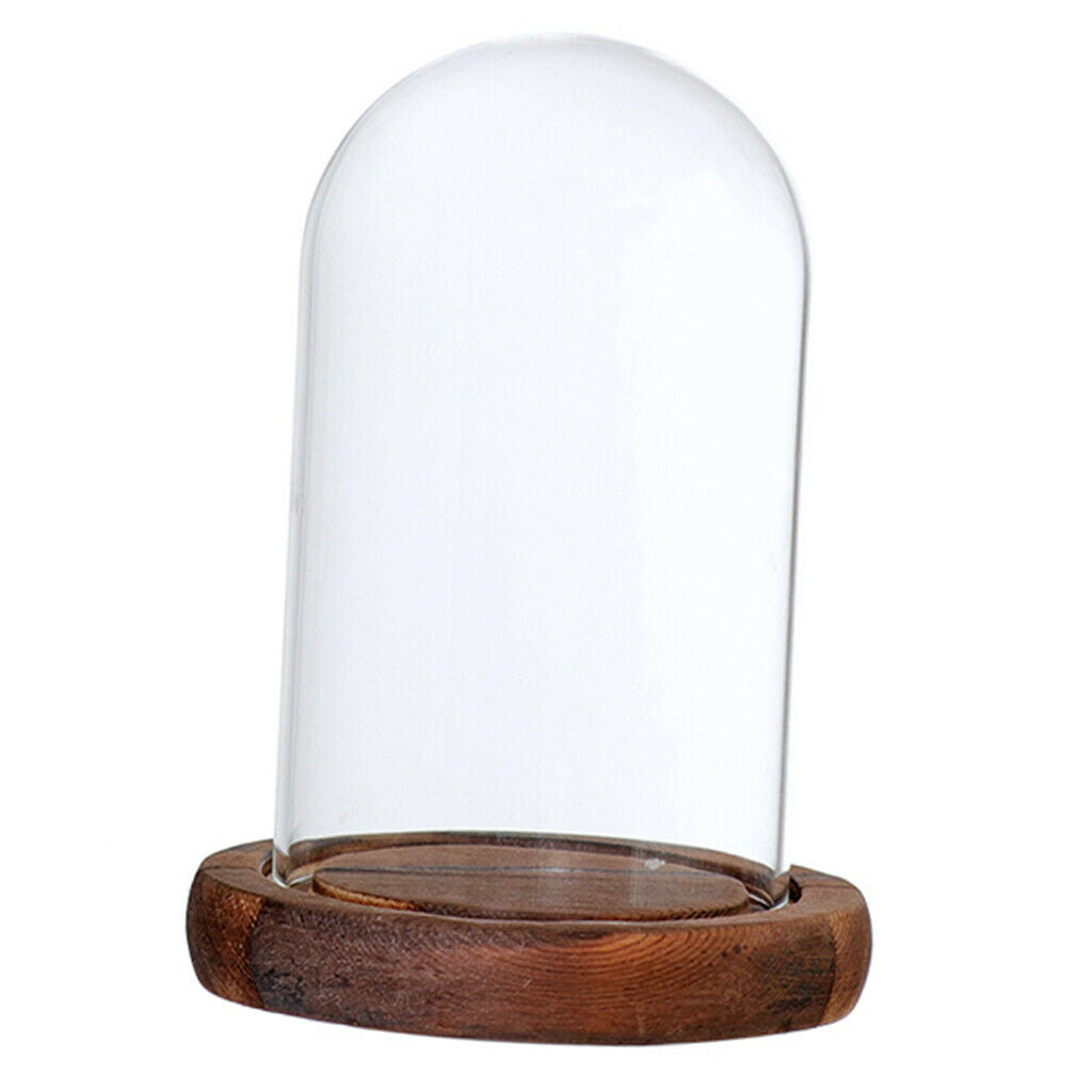 Dust-proof Glass Toys Holder w/ Lid and Base for Home Micro Landscape Decor