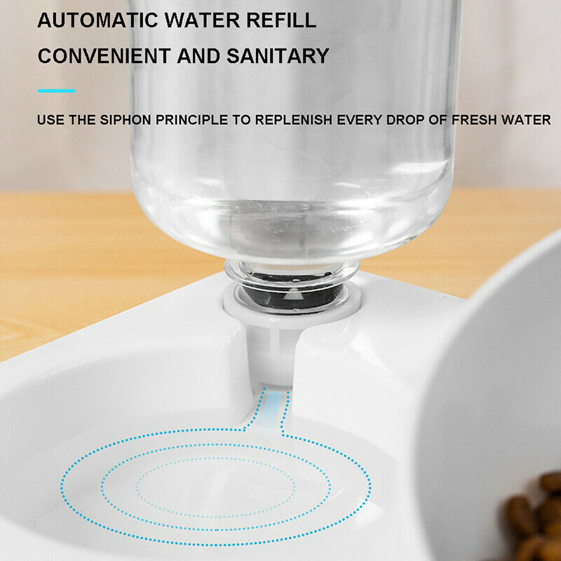 Automatic Feeder Dog Cat Food Bowl with Water Dispenser Double Drinking BowlFCA