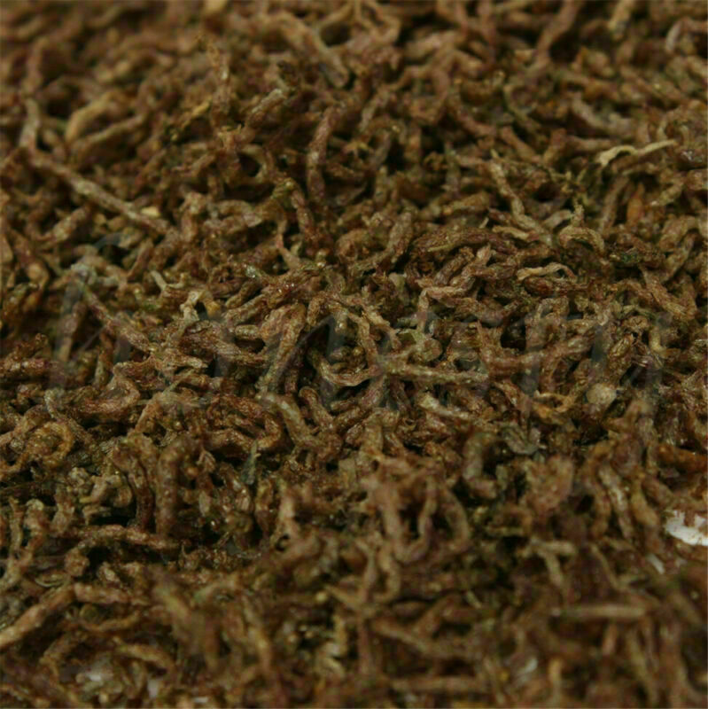 10g Freeze Dried Blood Worm Fresh Tropical Fish Discus Tetra Food Feeding