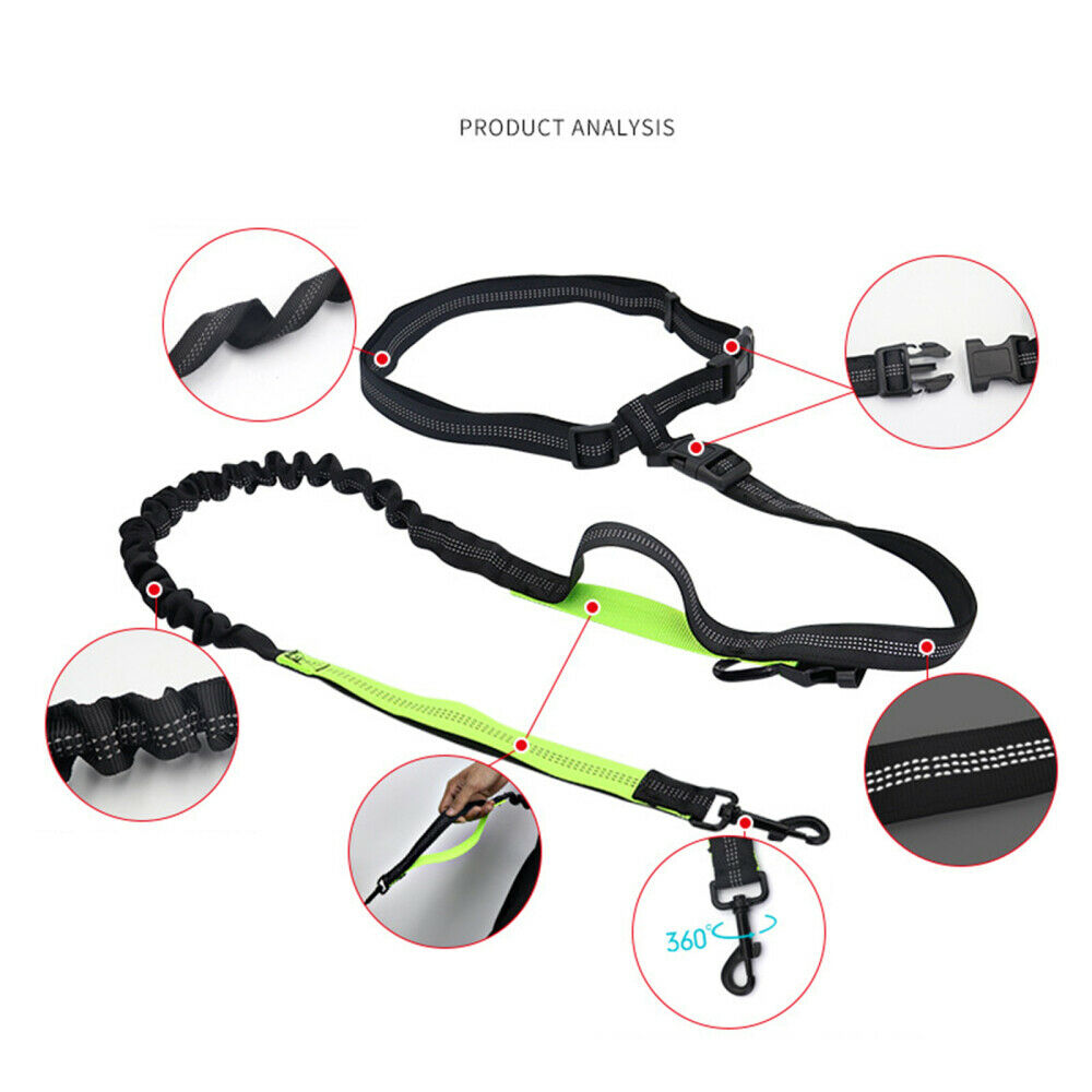 Adjustable Dog Walking Bungee Lead Strong Coupler Elastic Anti Strain Leash NEW