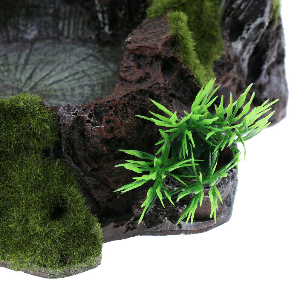 2x Reptile Water Lizards Turtle Feeder Dish for Reptile Bearded Dragons
