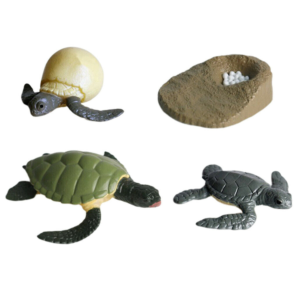 Lots 4 Solid Growth Cycle Realistic Sea Turtle Figures Kids Collectibles