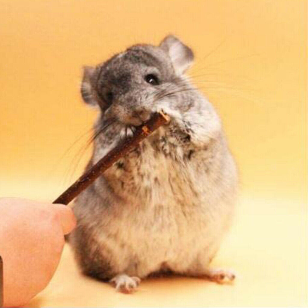 Wood Chew Sticks for Hamster Rabbits Chinchillas Squirrels Rodent Animals