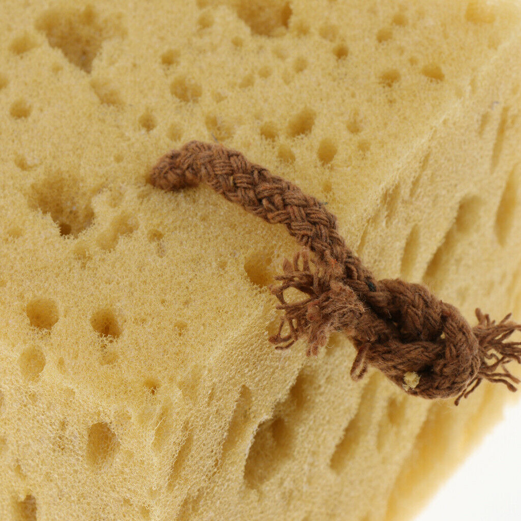 Macroporous Honeycomb Sponge Car Coral Cleaning Washing Spongnia