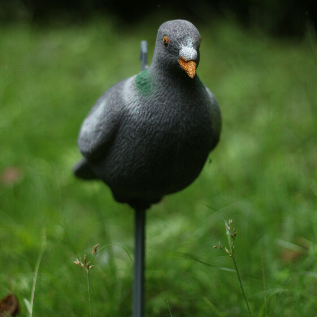 It's like a real artificial pigeon garden decoration decoy decoration