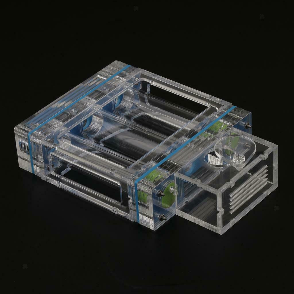 1pc Ant Nest Housing Ant Farm Box Formicarium Display Case Small Large Ant
