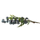 Plants Flowers Fruits Bunch for Photo Prop Table Centerpieces Dark Green Decor