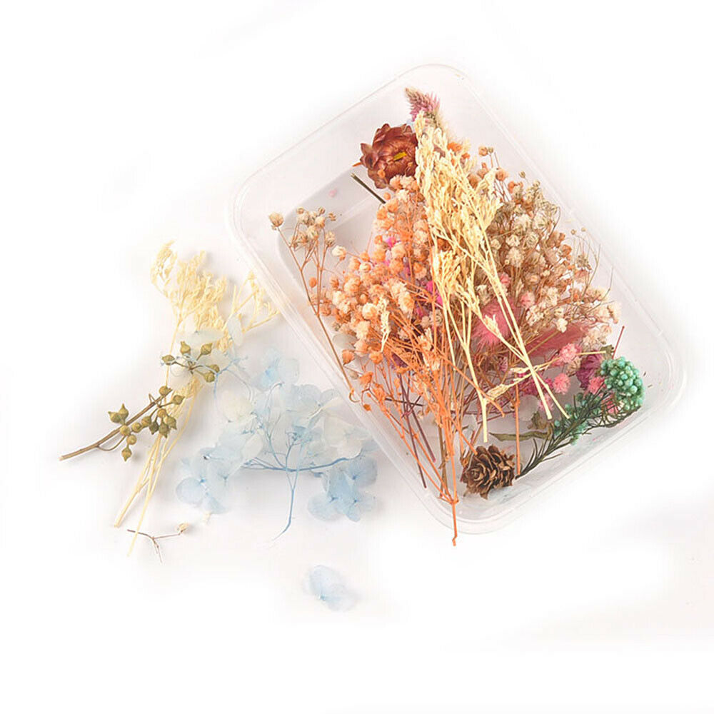 1 Box Mixed Dried Flower Eucalyptus Photo Frame Handmade Soap Candle Epoxy DIY