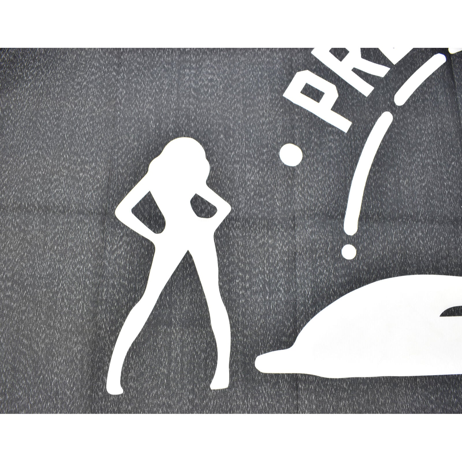 Prestige Worldwide Boats n Hoes Banner 3x5ft Flag Step Brothers Dorm Man Cave