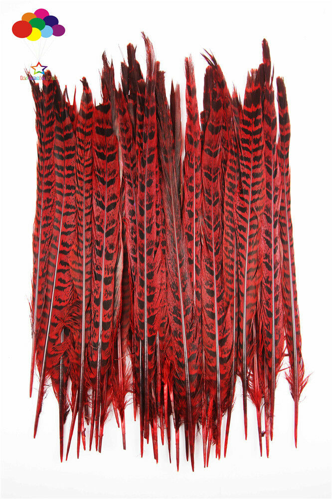 Pheasant tail Feather dyed red 10-14 inch/25-35 cm 100 Pcs carnival Diy costume