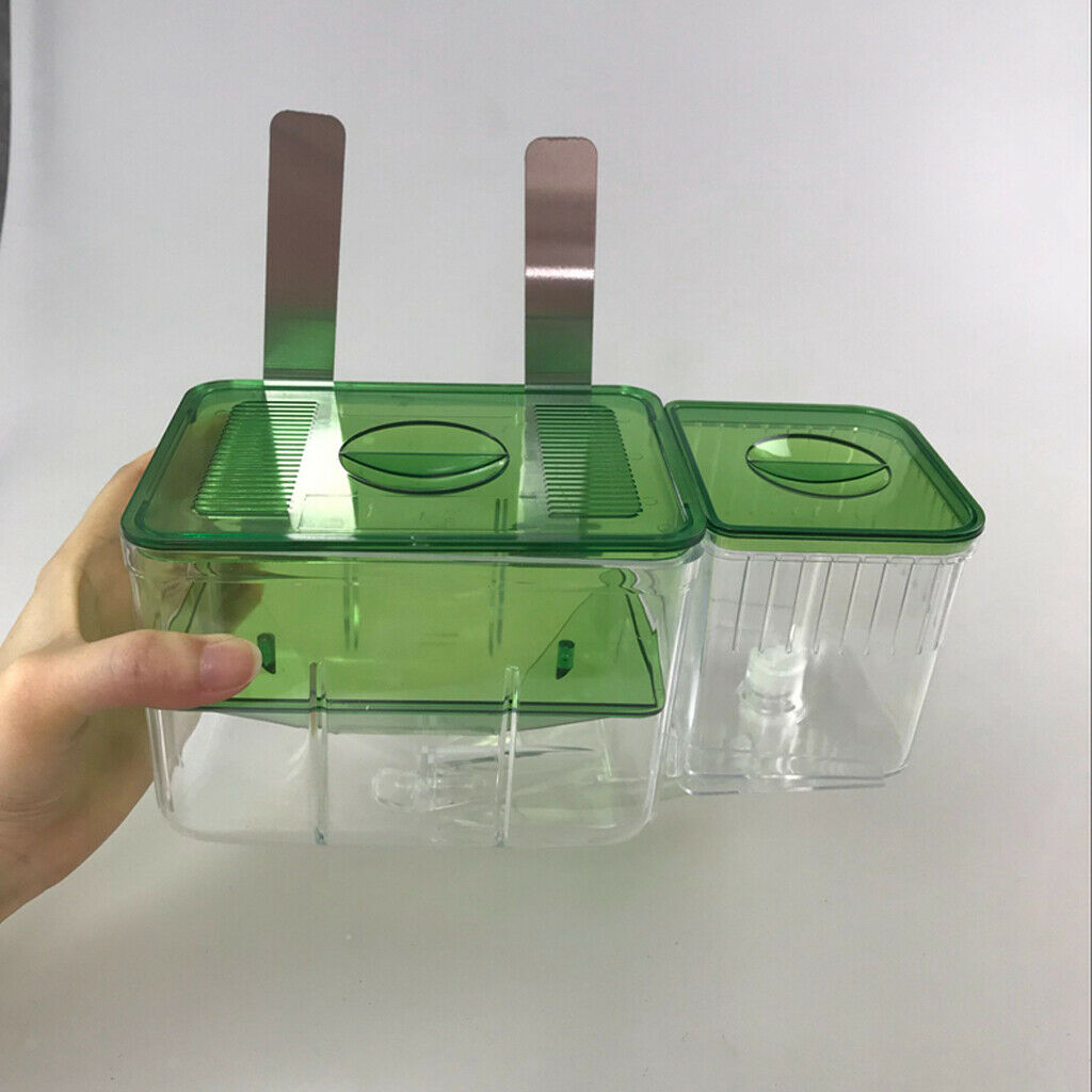 Fish Breeding Box Plastic Floating Automatic Circulaiton Baby Fish Hatchery